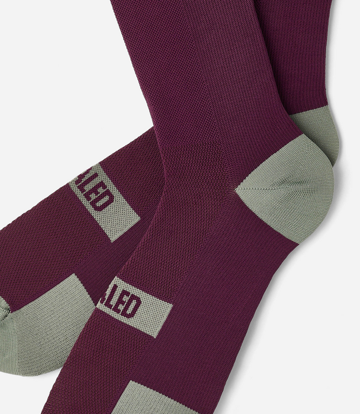 PEdALED Element Socks Burgundy - Maats Cycling Culture