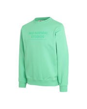 PNS Off-Race Logo Sweatshirt Light Emerald